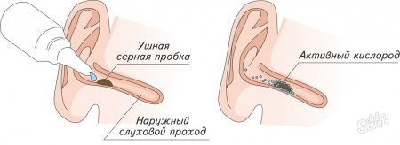 Полезная информация